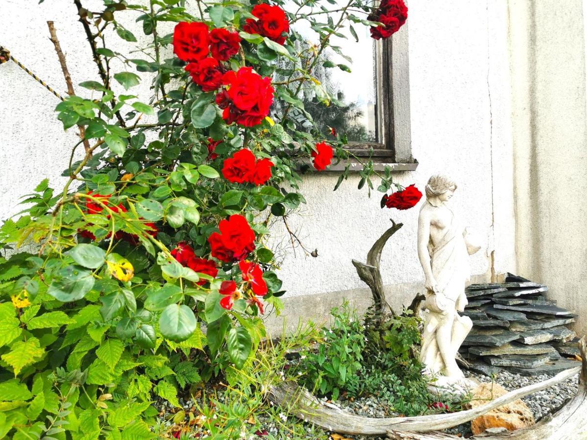 Ferienwohnung Am Bergmannsbrunnen 숀하이데 외부 사진