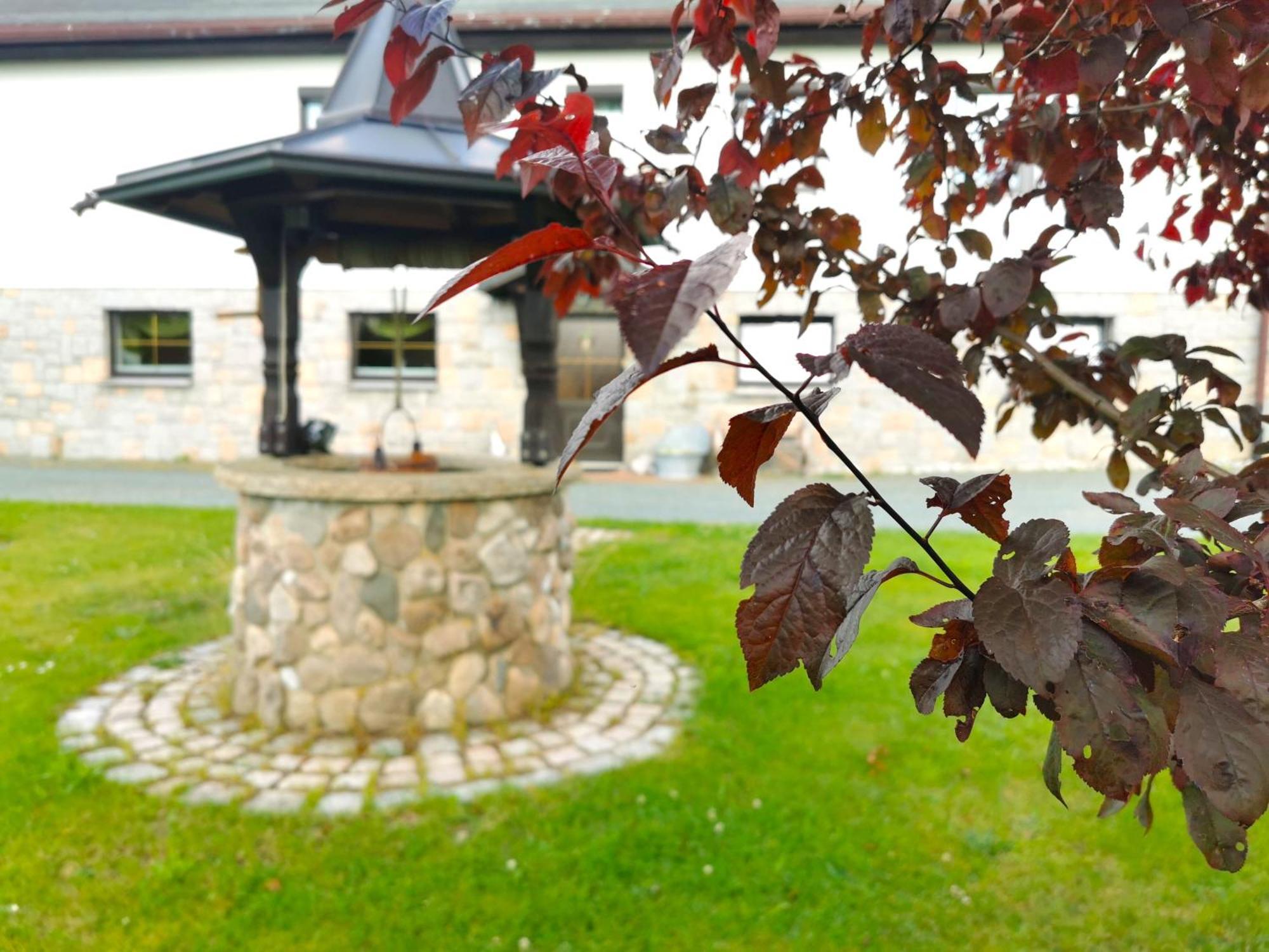 Ferienwohnung Am Bergmannsbrunnen 숀하이데 외부 사진